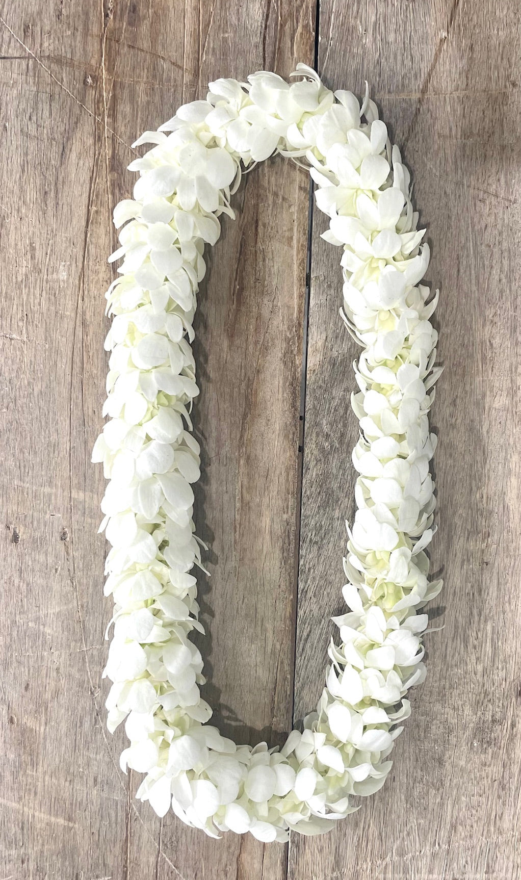 Graduation Lei - 2 colors available