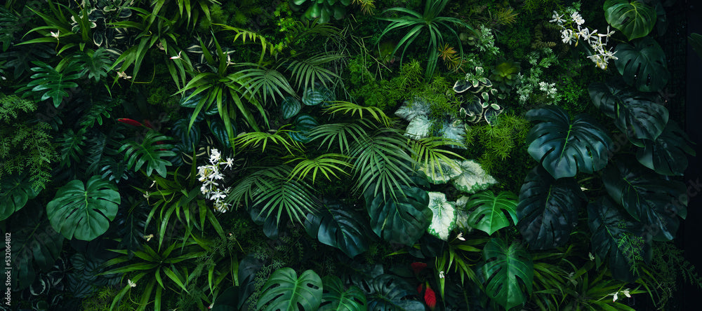 Orchids and Plants