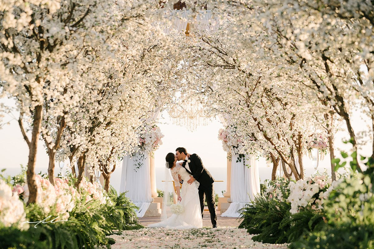 Wedding_Pics_-_Whitney_Killingsworth_2019_1_9.jpg